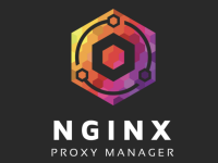 Docker部署Nginx proxy manager